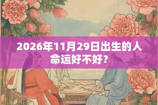 2026年11月29日出生的人命运好不好？
