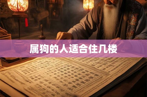 属狗的人适合住几楼