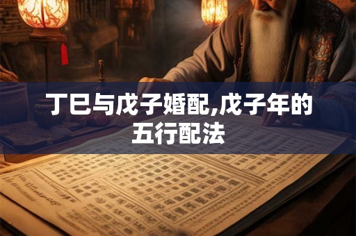 丁巳与戊子婚配,戊子年的五行配法
