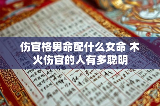 伤官格男命配什么女命 木火伤官的人有多聪明