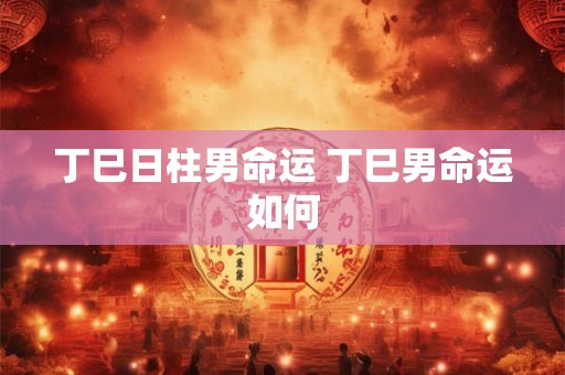 丁巳日柱男命运 丁巳男命运如何