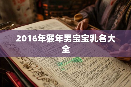2016年猴年男宝宝乳名大全