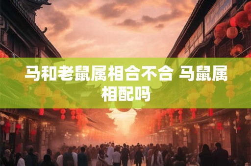 马和老鼠属相合不合 马鼠属相配吗