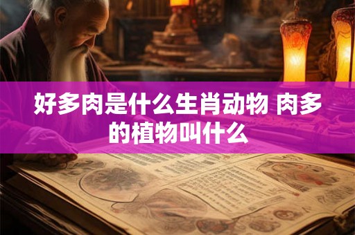 好多肉是什么生肖动物 肉多的植物叫什么 好多肉是什么生肖动物 肉多的植物叫什么