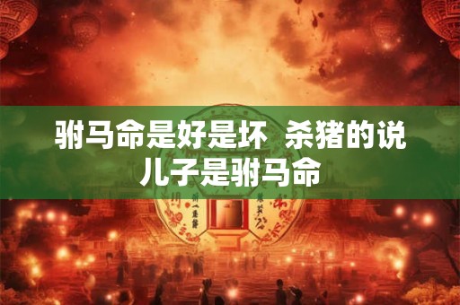 驸马命是好是坏  杀猪的说儿子是驸马命