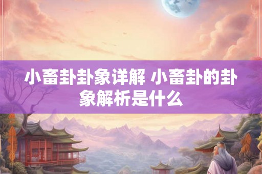 小畜卦卦象详解 小畜卦的卦象解析是什么