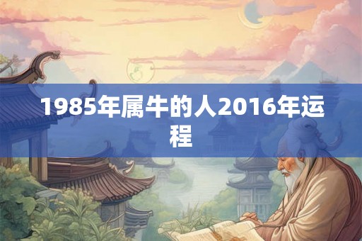 1985年属牛的人2016年运程 1985年属牛的人2016年运程