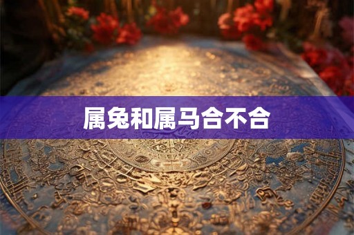 属兔和属马合不合