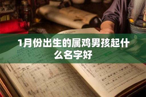 1月份出生的属鸡男孩起什么名字好