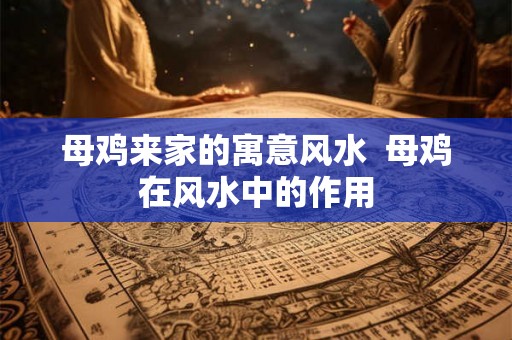 母鸡来家的寓意风水  母鸡在风水中的作用