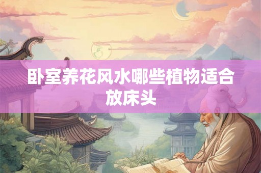 卧室养花风水哪些植物适合放床头
