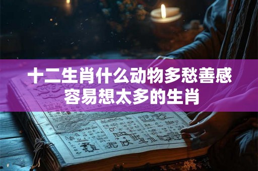 十二生肖什么动物多愁善感 容易想太多的生肖