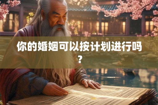 你的婚姻可以按计划进行吗？