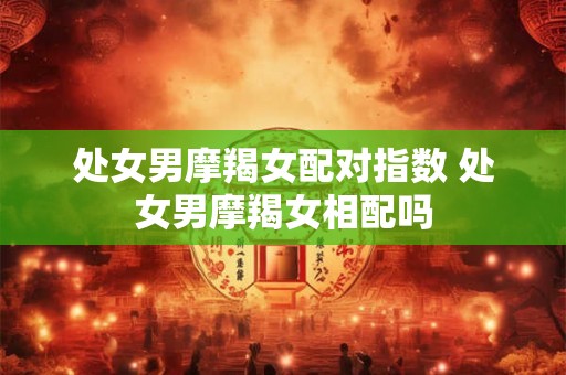 处女男摩羯女配对指数 处女男摩羯女相配吗