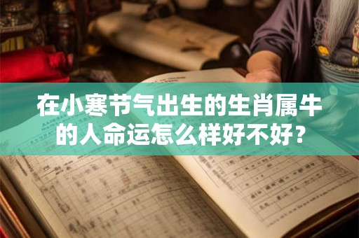 在小寒节气出生的生肖属牛的人命运怎么样好不好？