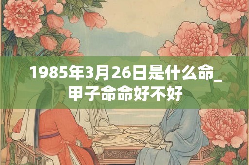 1985年3月26日是什么命_甲子命命好不好