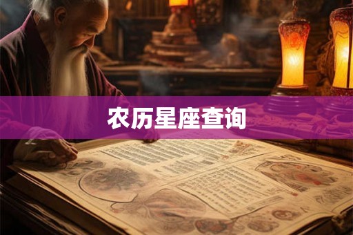 农历星座查询
