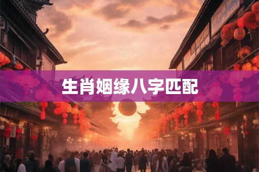 生肖姻缘八字匹配