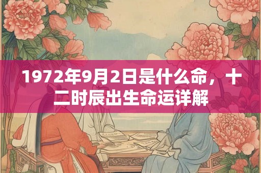 1972年9月2日是什么命，十二时辰出生命运详解