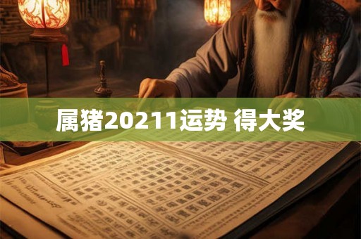 属猪20211运势 得大奖