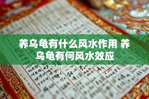 养乌龟有什么风水作用 养乌龟有何风水效应