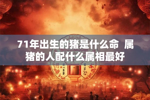 71年出生的猪是什么命  属猪的人配什么属相最好