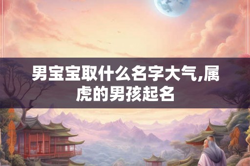 男宝宝取什么名字大气,属虎的男孩起名
