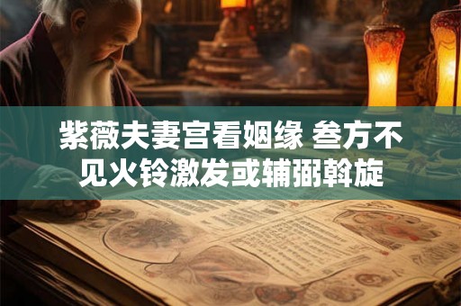 紫薇夫妻宫看姻缘 叁方不见火铃激发或辅弼斡旋