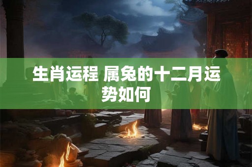 生肖运程 属兔的十二月运势如何