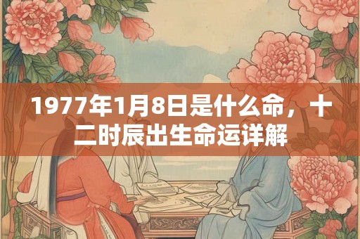 1977年1月8日是什么命，十二时辰出生命运详解