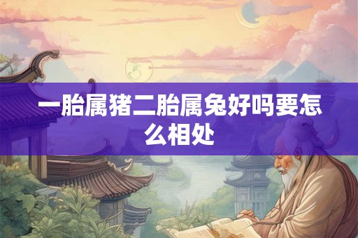 一胎属猪二胎属兔好吗要怎么相处