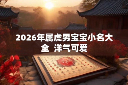 2026年属虎男宝宝小名大全  洋气可爱