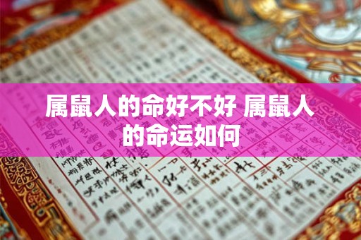 属鼠人的命好不好 属鼠人的命运如何