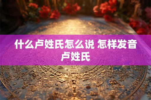 什么卢姓氏怎么说 怎样发音卢姓氏