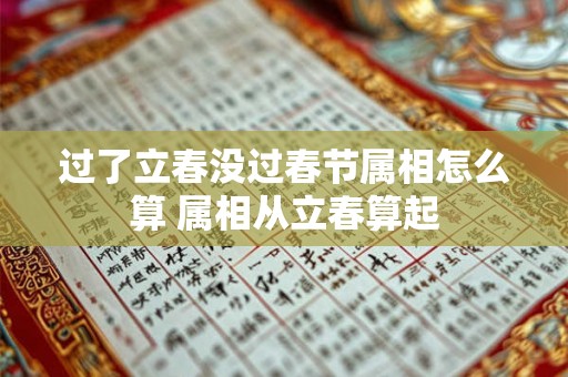 过了立春没过春节属相怎么算 属相从立春算起 过了立春没过春节属相怎么算 属相从立春算起