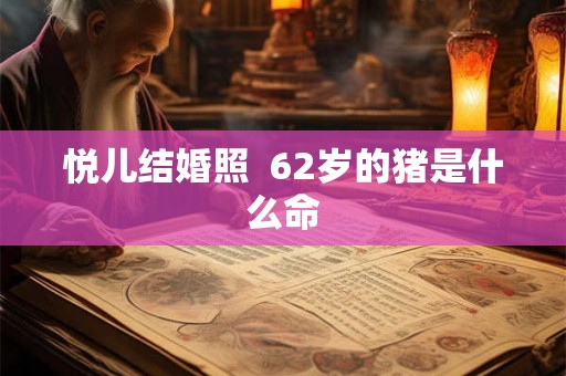悦儿结婚照  62岁的猪是什么命