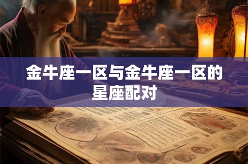 金牛座一区与金牛座一区的星座配对