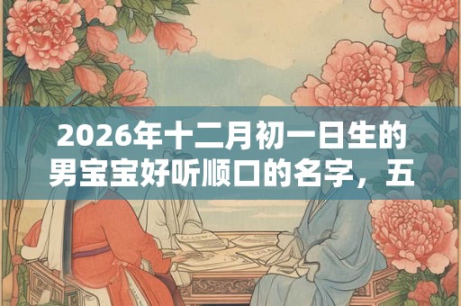 2026年十二月初一日生的男宝宝好听顺口的名字，五行缺什么？