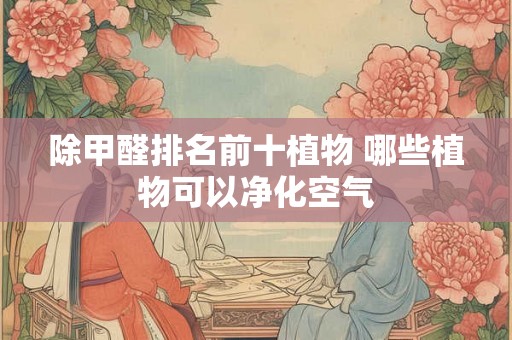 除甲醛排名前十植物 哪些植物可以净化空气