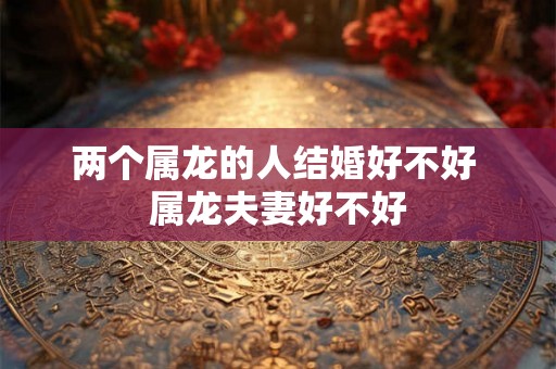 两个属龙的人结婚好不好 属龙夫妻好不好 两个属龙的人结婚好不好 属龙夫妻好不好
