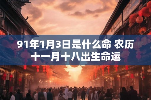91年1月3日是什么命 农历十一月十八出生命运