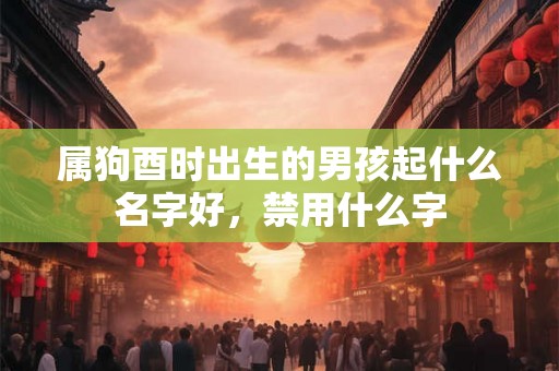 属狗酉时出生的男孩起什么名字好，禁用什么字