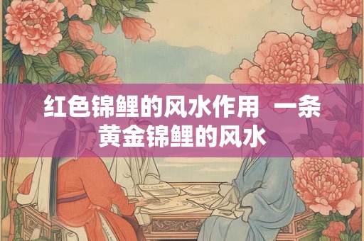 红色锦鲤的风水作用  一条黄金锦鲤的风水