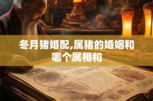 冬月猪婚配,属猪的婚姻和哪个属相和