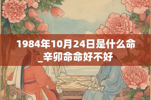 1984年10月24日是什么命_辛卯命命好不好