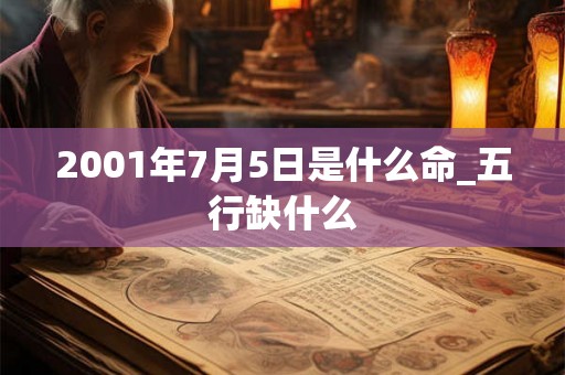 2001年7月5日是什么命_五行缺什么