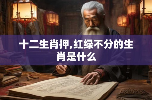 十二生肖押,红绿不分的生肖是什么
