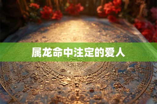 属龙命中注定的爱人