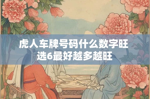 虎人车牌号码什么数字旺 选6最好越多越旺