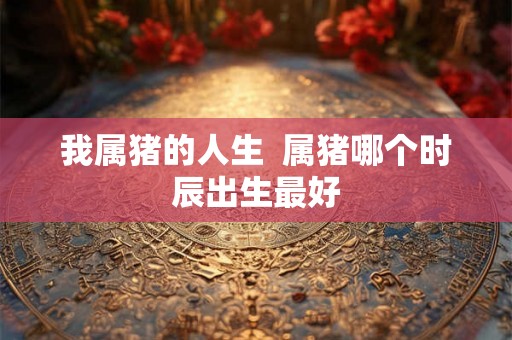 我属猪的人生  属猪哪个时辰出生最好